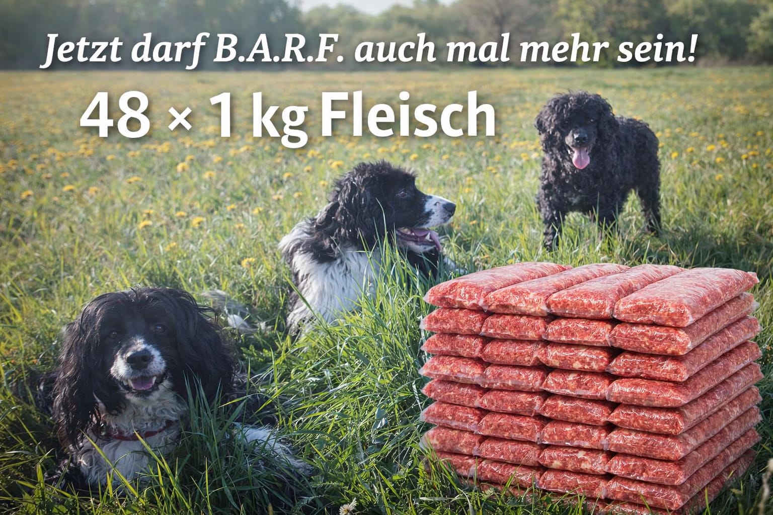 B.A.R.F. XXL Vorratspaket