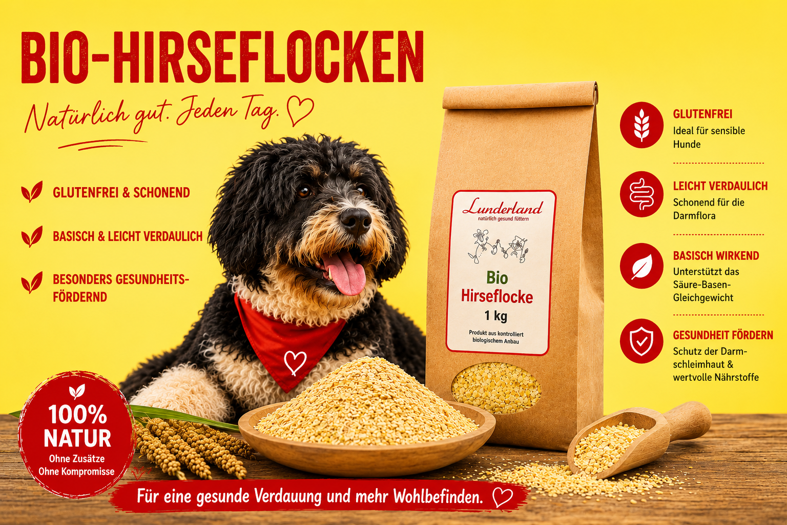 Flocken "Bio Hirse"