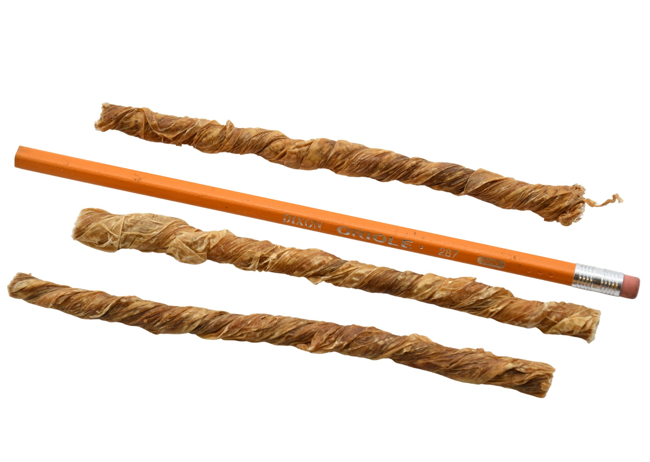 Welpen/Senior Kausticks