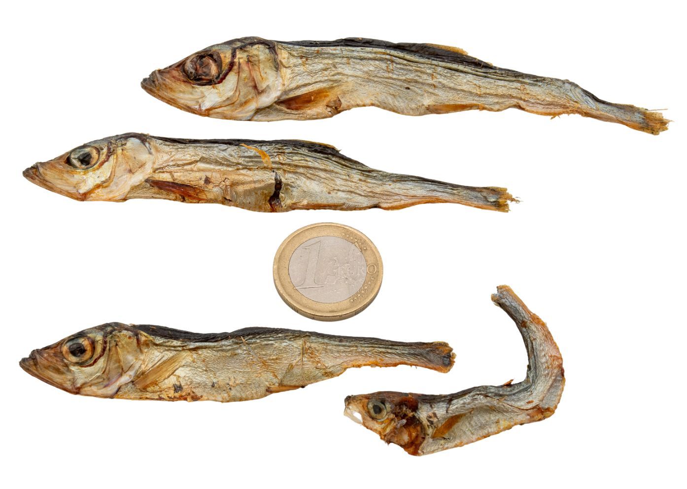 Getrockneter Hering